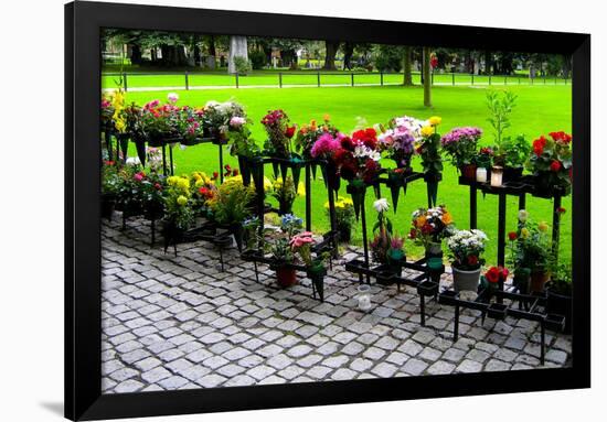 Row of Flowers in Sweden Photo Print Poster-null-Framed Poster
