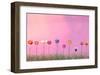 Row of Flowers on Pink-Claire Westwood-Framed Art Print