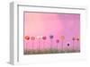 Row of Flowers on Pink-Claire Westwood-Framed Art Print