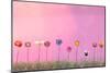 Row of Flowers on Pink-Claire Westwood-Mounted Art Print