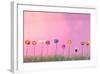 Row of Flowers on Pink-Claire Westwood-Framed Art Print