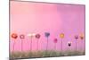 Row of Flowers on Pink-Claire Westwood-Mounted Art Print