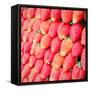 Row of Fresh Strawberry with Retro Filter Effect-happydancing-Framed Stretched Canvas