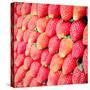 Row of Fresh Strawberry with Retro Filter Effect-happydancing-Stretched Canvas