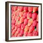 Row of Fresh Strawberry with Retro Filter Effect-happydancing-Framed Photographic Print