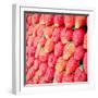 Row of Fresh Strawberry with Retro Filter Effect-happydancing-Framed Photographic Print