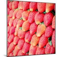 Row of Fresh Strawberry with Retro Filter Effect-happydancing-Mounted Photographic Print