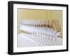 Row of Glasses for Tasting, Chateau Baron Pichon Longueville, Pauillac, Medoc, Bordeaux, France-Per Karlsson-Framed Photographic Print