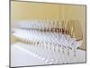 Row of Glasses for Tasting, Chateau Baron Pichon Longueville, Pauillac, Medoc, Bordeaux, France-Per Karlsson-Mounted Photographic Print