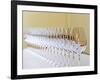 Row of Glasses for Tasting, Chateau Baron Pichon Longueville, Pauillac, Medoc, Bordeaux, France-Per Karlsson-Framed Photographic Print