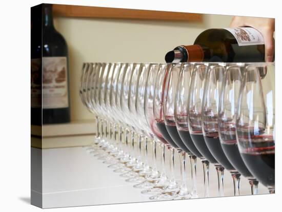 Row of Glasses for Tasting, Chateau Baron Pichon Longueville, Pauillac, Medoc, Bordeaux, France-Per Karlsson-Stretched Canvas