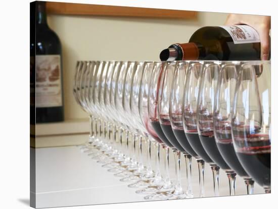 Row of Glasses for Tasting, Chateau Baron Pichon Longueville, Pauillac, Medoc, Bordeaux, France-Per Karlsson-Stretched Canvas