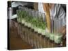 Row of Glasses on a Bar with Barman Preparing Mojito Cocktails, Habana Vieja, Havana, Cuba-Eitan Simanor-Stretched Canvas