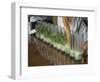 Row of Glasses on a Bar with Barman Preparing Mojito Cocktails, Habana Vieja, Havana, Cuba-Eitan Simanor-Framed Photographic Print