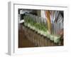 Row of Glasses on a Bar with Barman Preparing Mojito Cocktails, Habana Vieja, Havana, Cuba-Eitan Simanor-Framed Photographic Print