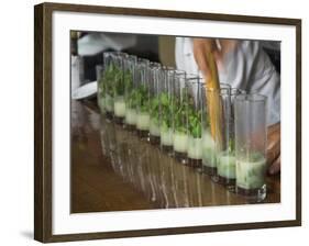 Row of Glasses on a Bar with Barman Preparing Mojito Cocktails, Habana Vieja, Havana, Cuba-Eitan Simanor-Framed Photographic Print