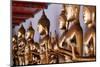 Row of golden Buddha statues, meditation, Wat Pho (Temple of the Reclining Buddha), Bangkok-Godong-Mounted Photographic Print