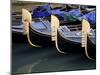 Row of Gondolas, Venice, Veneto, Italy-Sergio Pitamitz-Mounted Photographic Print