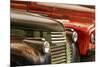 Row of old trucks, Palouse region of Eastern Washington State.-Adam Jones-Mounted Photographic Print