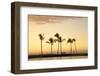 Row of Palm Trees along Breakwater at Sunset-Timothy Hearsum-Framed Photographic Print