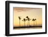 Row of Palm Trees along Breakwater at Sunset-Timothy Hearsum-Framed Photographic Print