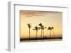 Row of Palm Trees along Breakwater at Sunset-Timothy Hearsum-Framed Photographic Print
