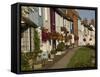 Row of Pastel Coloured Country Cottages, Alresford, Hampshire, England, United Kingdom, Europe-James Emmerson-Framed Stretched Canvas