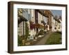 Row of Pastel Coloured Country Cottages, Alresford, Hampshire, England, United Kingdom, Europe-James Emmerson-Framed Photographic Print