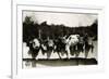 Row of Pigs Resting on Fence-null-Framed Photographic Print