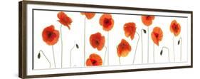 Row of Poppies on White-Tom Quartermaine-Framed Giclee Print