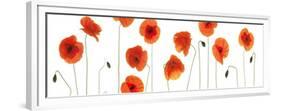 Row of Poppies on White-Tom Quartermaine-Framed Giclee Print
