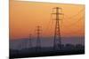 Row of Power Pylons at Sunset, Mid Canterbury, South Island, New Zealand-David Wall-Mounted Photographic Print