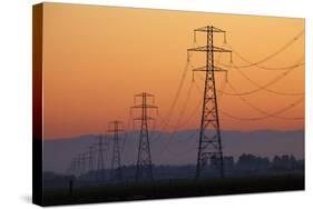 Row of Power Pylons at Sunset, Mid Canterbury, South Island, New Zealand-David Wall-Stretched Canvas