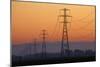 Row of Power Pylons at Sunset, Mid Canterbury, South Island, New Zealand-David Wall-Mounted Photographic Print