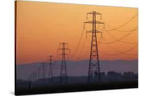 Row of Power Pylons at Sunset, Mid Canterbury, South Island, New Zealand-David Wall-Stretched Canvas