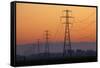 Row of Power Pylons at Sunset, Mid Canterbury, South Island, New Zealand-David Wall-Framed Stretched Canvas