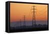 Row of Power Pylons at Sunset, Mid Canterbury, South Island, New Zealand-David Wall-Framed Stretched Canvas