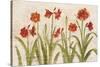 Row of Red Amaryllis Light-Cheri Blum-Stretched Canvas