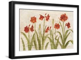 Row of Red Amaryllis Light-Cheri Blum-Framed Art Print