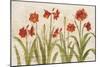 Row of Red Amaryllis Light-Cheri Blum-Mounted Art Print