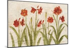 Row of Red Amaryllis Light-Cheri Blum-Mounted Art Print