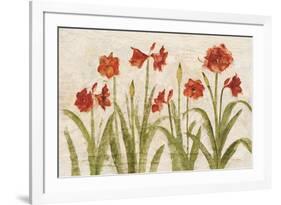 Row of Red Amaryllis Light-Cheri Blum-Framed Art Print