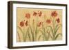 Row of Red Amaryllis-Cheri Blum-Framed Premium Giclee Print