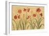 Row of Red Amaryllis-Cheri Blum-Framed Premium Giclee Print