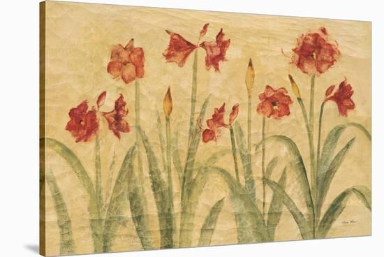 Row of Red Amaryllis-Cheri Blum-Stretched Canvas