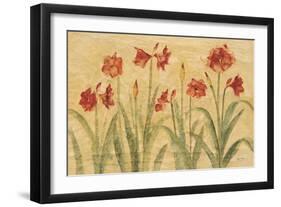 Row of Red Amaryllis-Cheri Blum-Framed Art Print