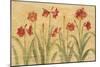 Row of Red Amaryllis-Cheri Blum-Mounted Art Print