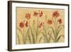 Row of Red Amaryllis-Cheri Blum-Framed Art Print