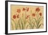 Row of Red Amaryllis-Cheri Blum-Framed Art Print