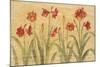 Row of Red Amaryllis-Cheri Blum-Mounted Art Print